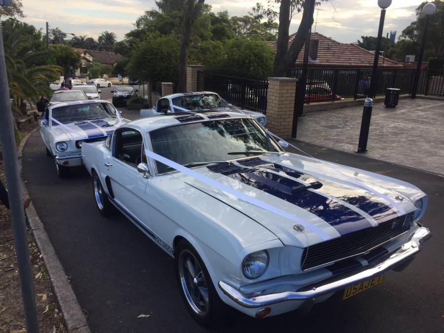 Mustang Car Hire in Sydney